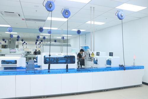 AI深度賦能 創(chuàng)新驅(qū)動(dòng)下的新產(chǎn)業(yè)公司效率提升與開發(fā)轉(zhuǎn)型